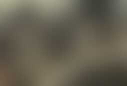 Фотография ролевого квеста Зомби от компании Questoria (Фото 1)