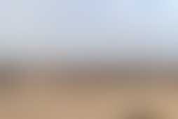 Фотография квеста Проклятие Фараона от компании Ребус клубус (Фото 1)